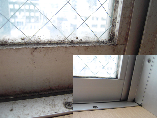 窓の粉塵除去